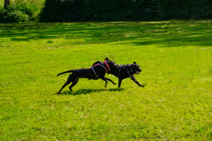 Bild aus dem Training
