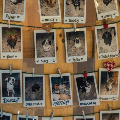 Bild aus dem Training